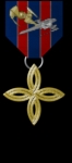 RgF Merit Pin