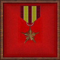 RSCD Bronze Star 