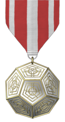 RS Mission Report Medal