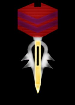 VSG Mission Report Medal